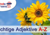 Wichtige Adjektive